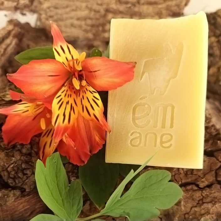 Savons au lait d'ânesse